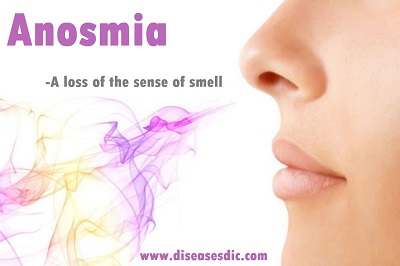 Anosmia Types Causes Treatment And Prevention