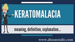 Xerophthalmia Definition Risk Factors And Treatments